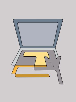 cat bed laptop r2 v4