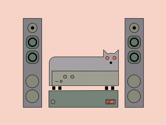 cat bed stereo r5 v3