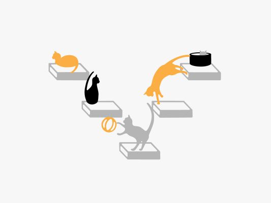cats play multi