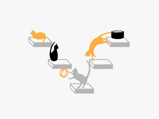 cats play multi
