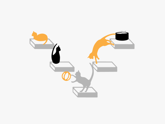 cats play multi